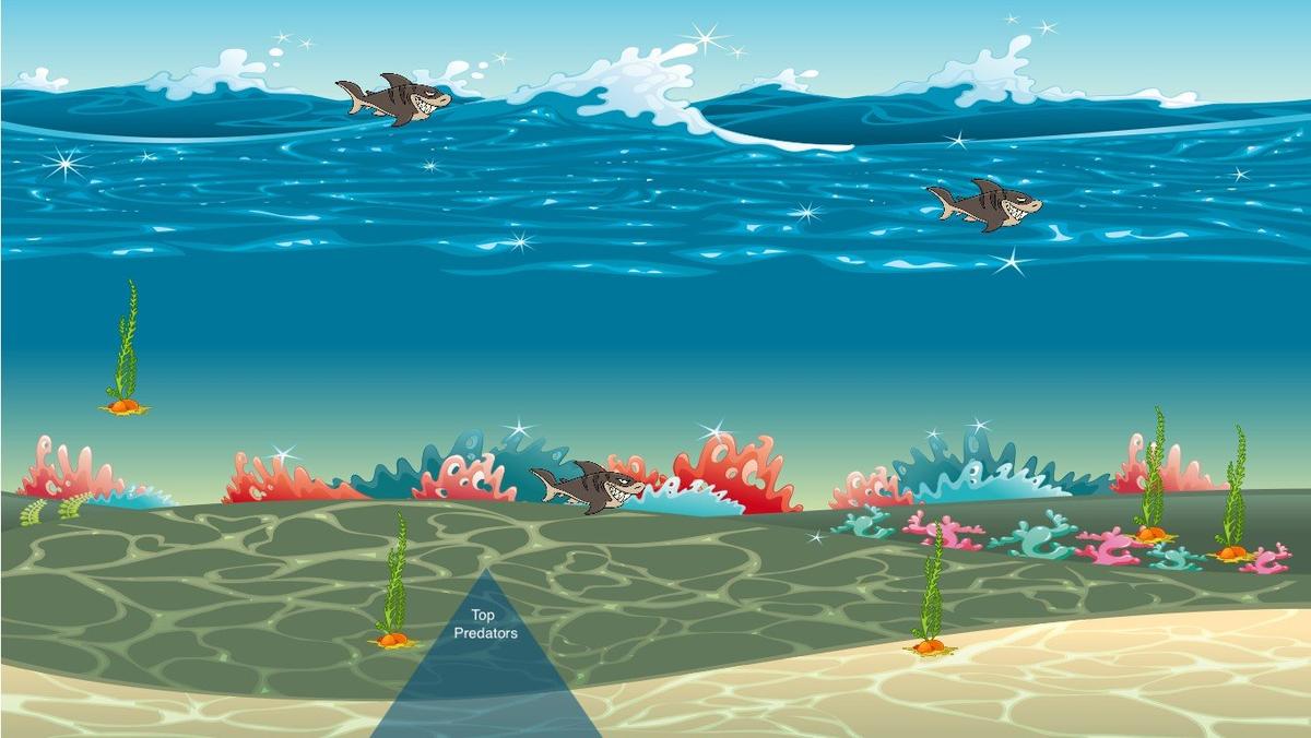 Ocean Ecological Pyramid