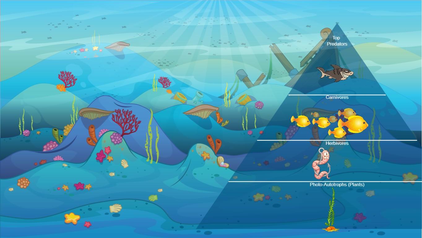 Ocean Ecological Pyramid