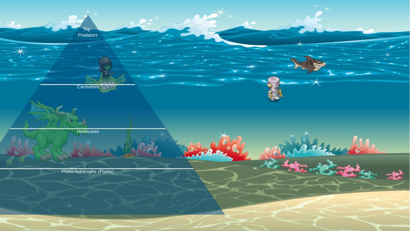 Ocean Ecological Pyramid