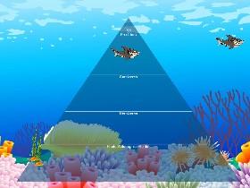 Ecological Pyramid 1