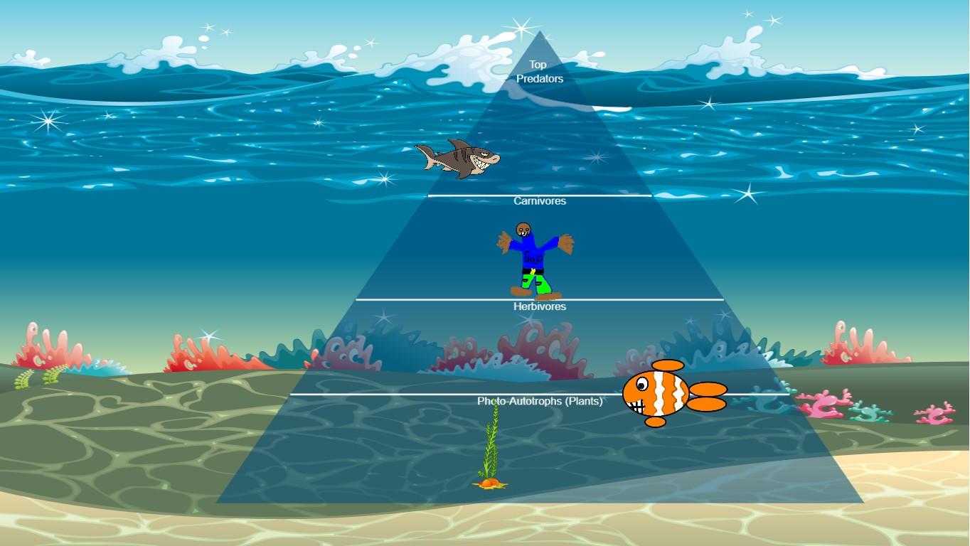 Ocean Ecological Pyramid