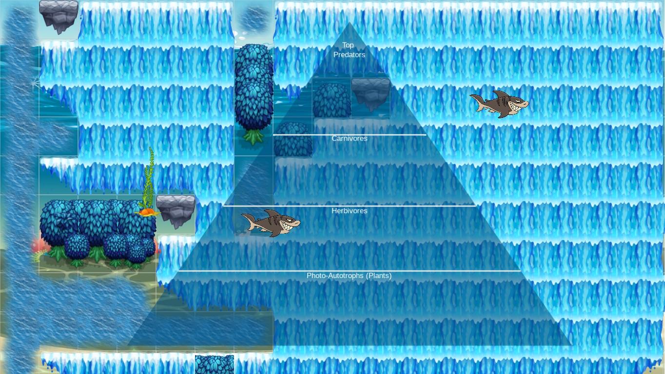 Ocean Ecological Pyramid