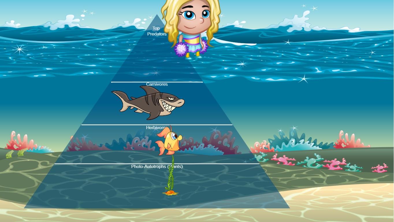 Ocean Ecological Pyramid