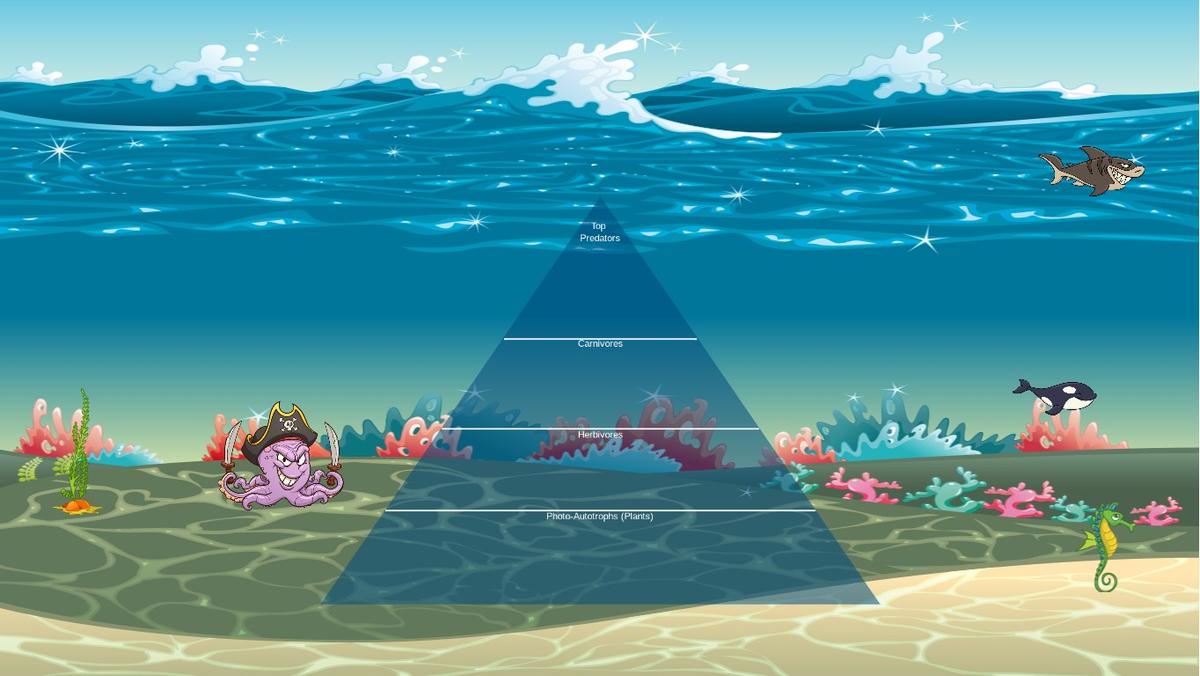 Ocean Ecological Pyramid