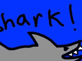 Shark! 1 1