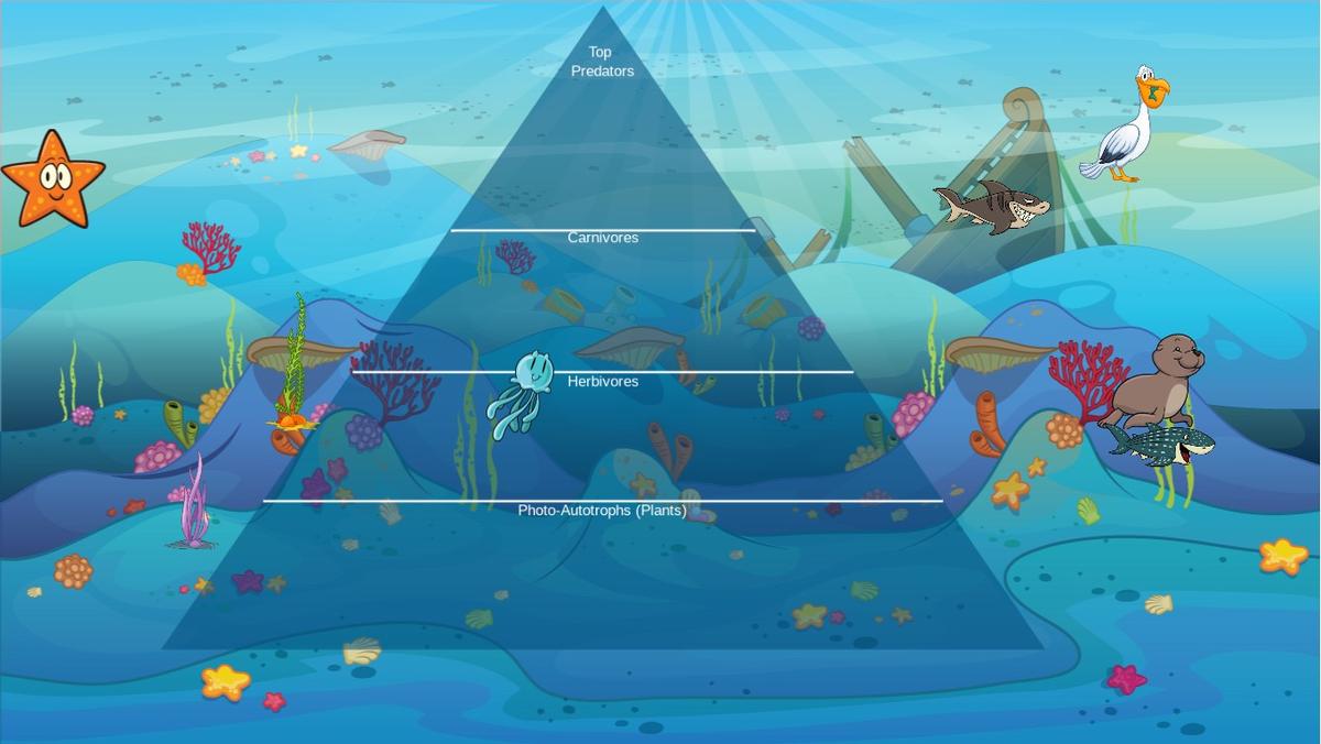 Ocean Ecological Pyramid