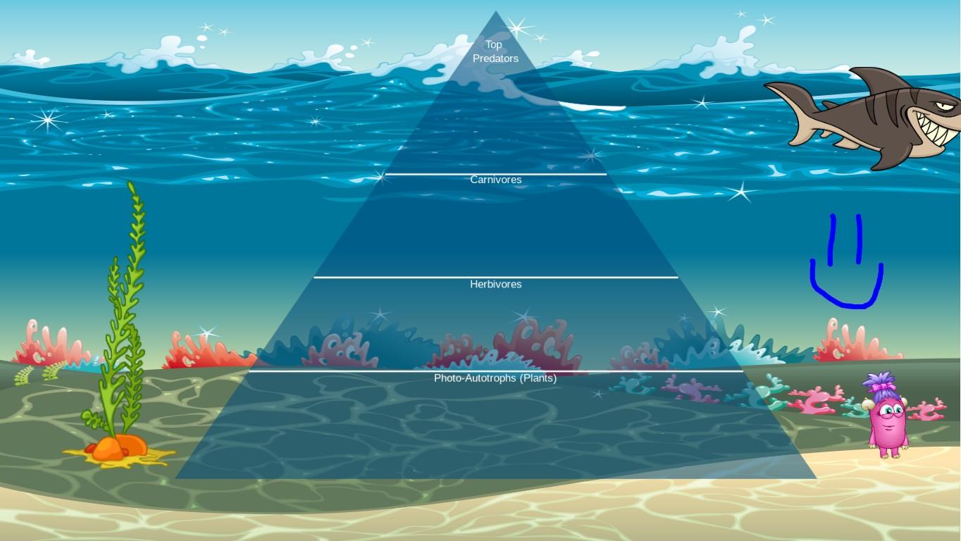 Ocean Ecological Pyramid