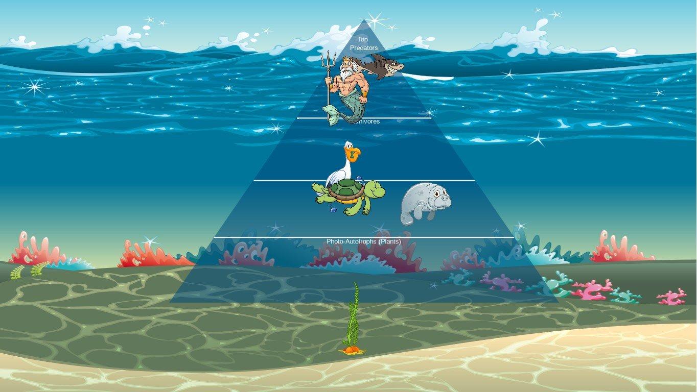 Ocean Ecological Pyramid