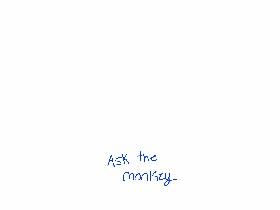 ask the monkey