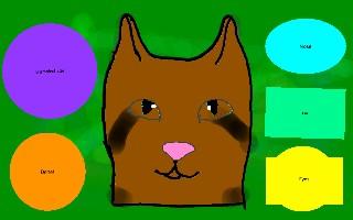 Warrior Cat Maker