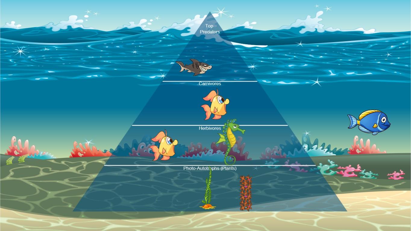 Ocean Ecological Pyramid