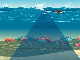 Ecological Pyramid 1