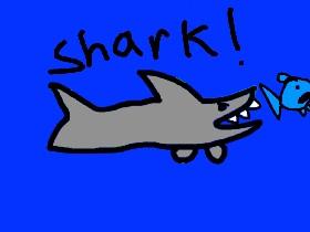 Shark 3