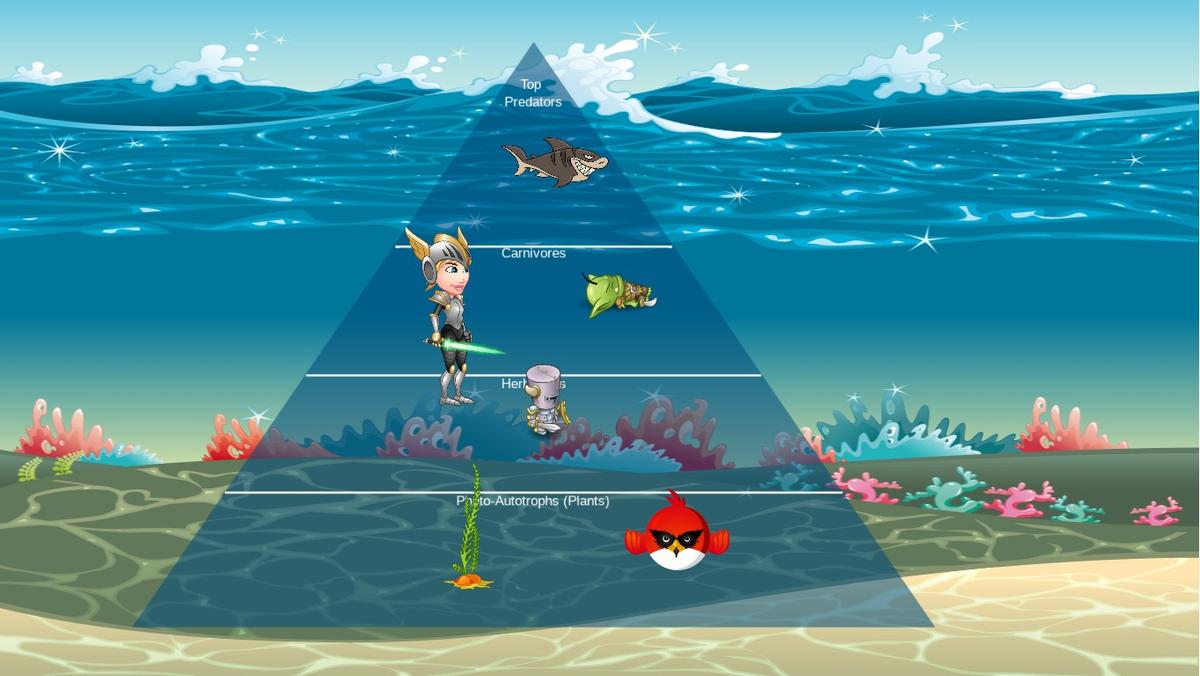 Ocean Ecological Pyramid