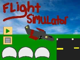 Flight Simulator 1