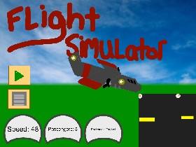 Flight Simulator 1