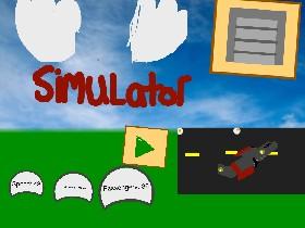 Flight Simulator 1