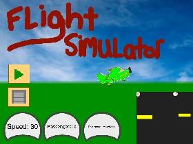 Flight Simulator 1