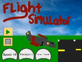 Flight Simulator 1