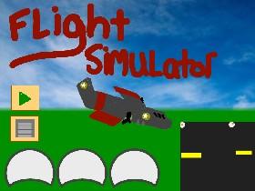 Flight Simulator 1