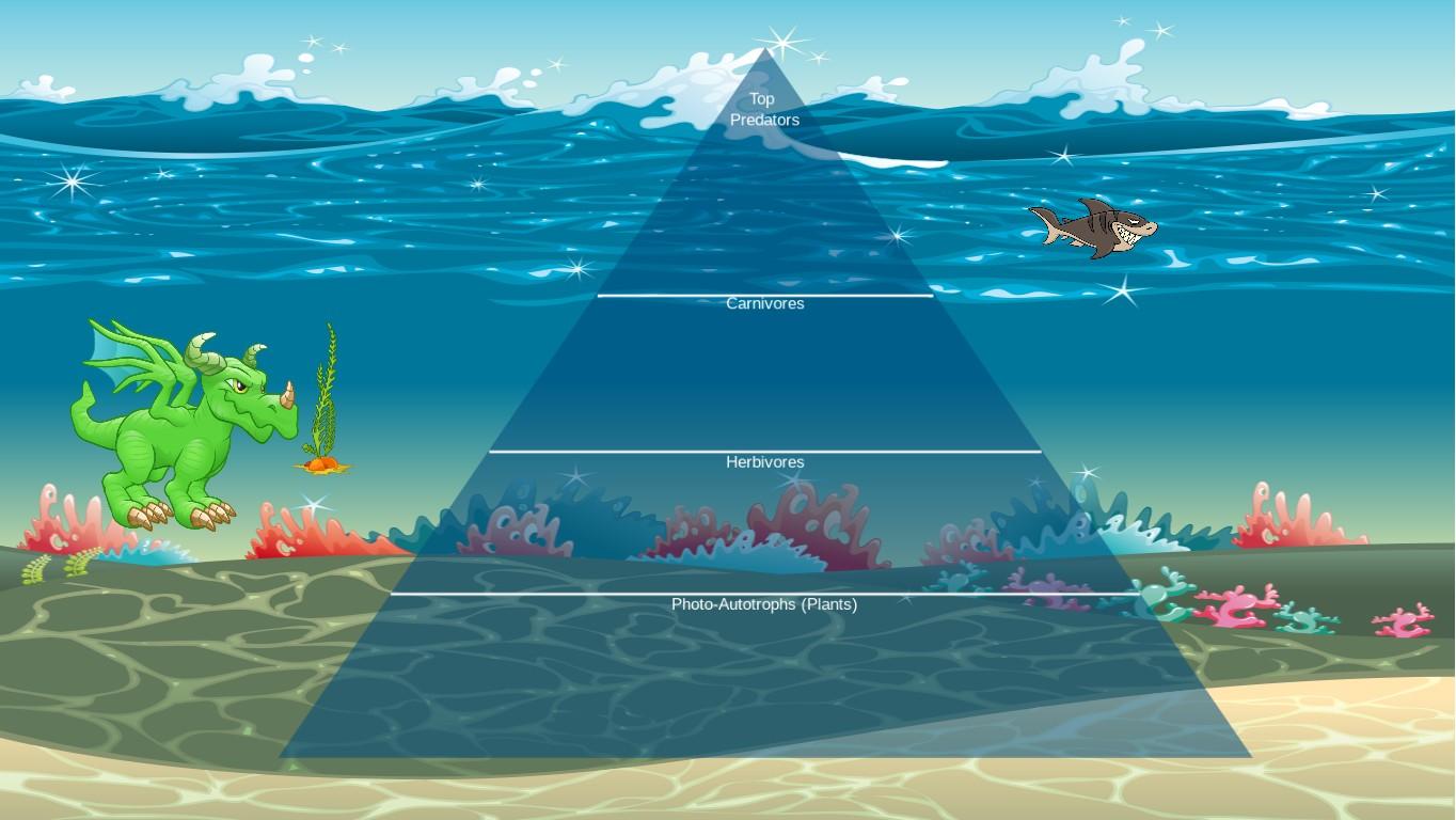 Ocean Ecological Pyramid