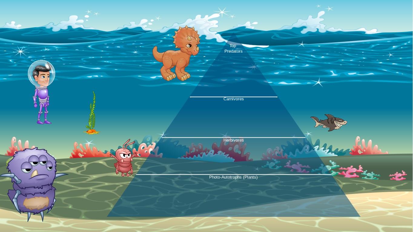 Ocean Ecological Pyramid