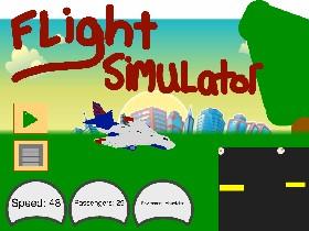 Flight Simulator 2