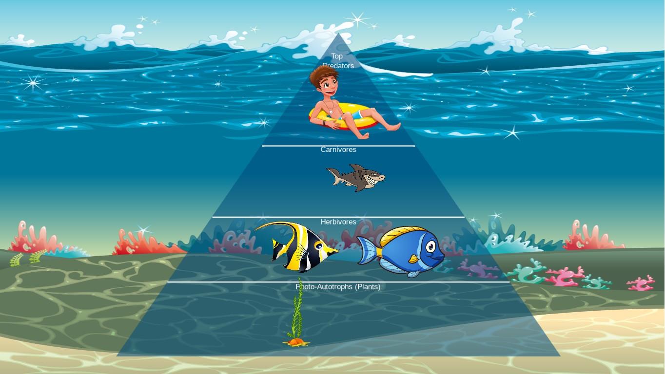 Ocean Ecological Pyramid