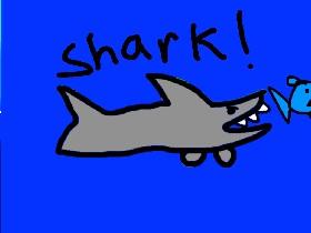 Shark! 1