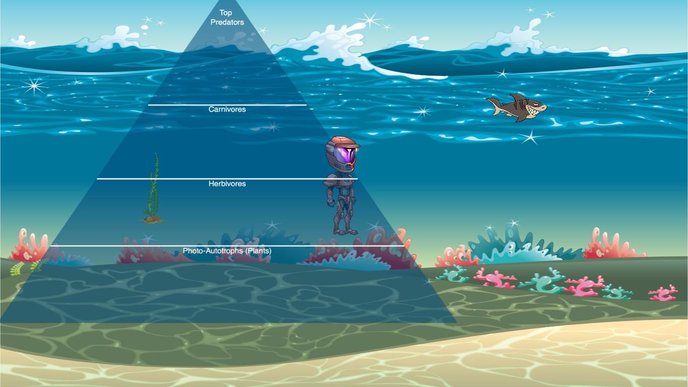 Ocean Ecological Pyramid