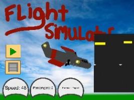 Flight Simulator 1