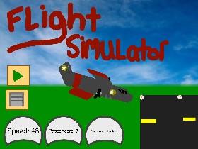 Flight Simulator 1