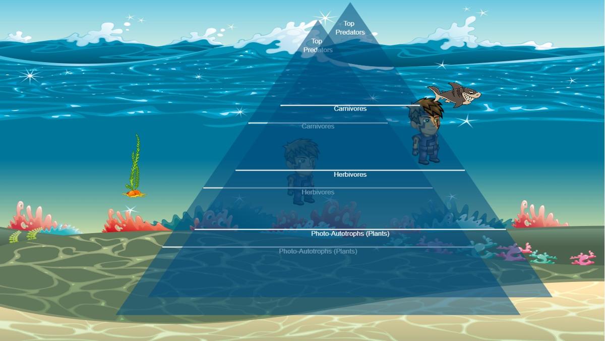 Ocean Ecological Pyramid