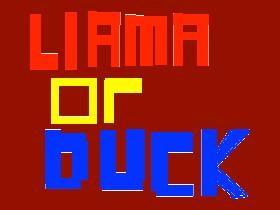 Llama or Duck? 1