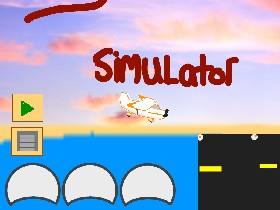 Flight Simulator