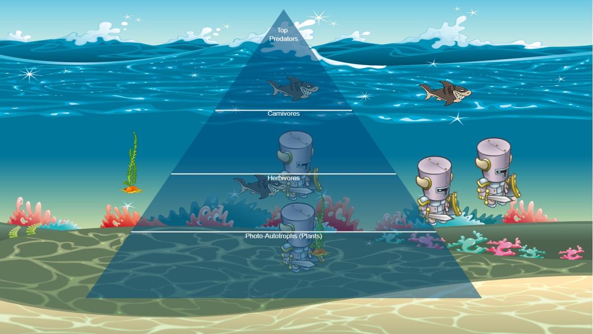 Ocean Ecological Pyramid