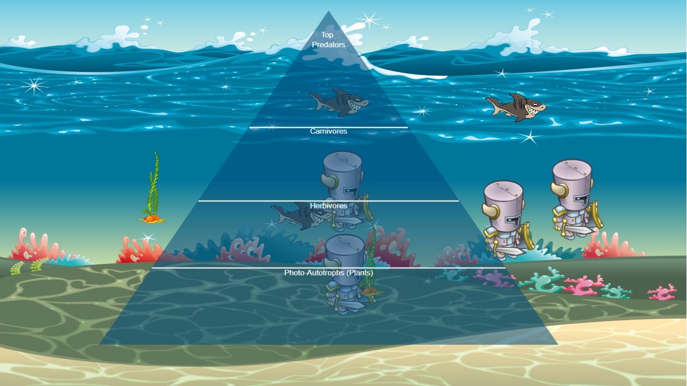 Ocean Ecological Pyramid