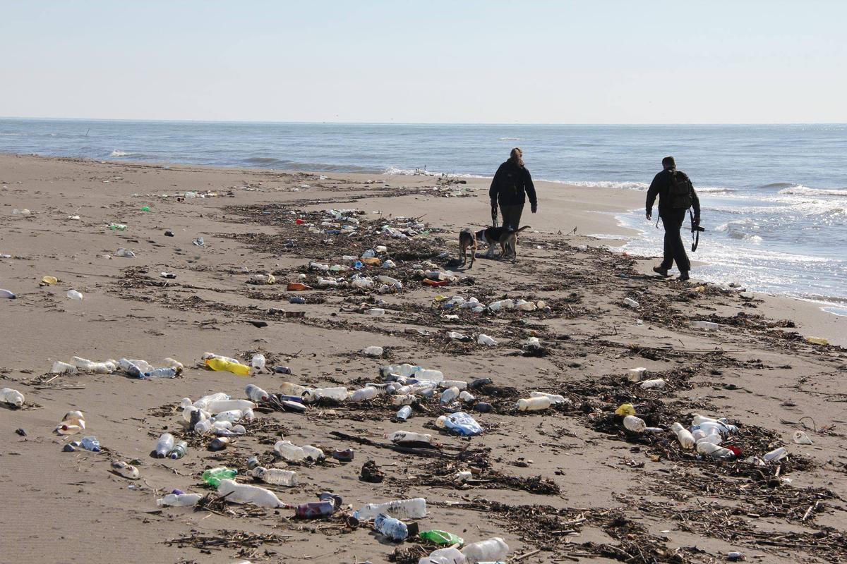 Don't Tynker with our Beaches!