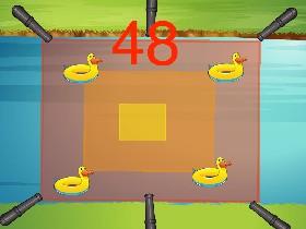 Duck Survival 230