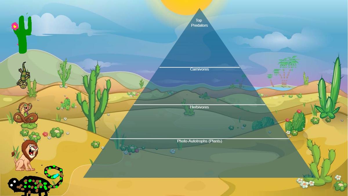 Ocean Ecological Pyramid