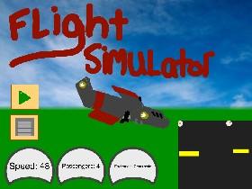 Flight Simulator 1