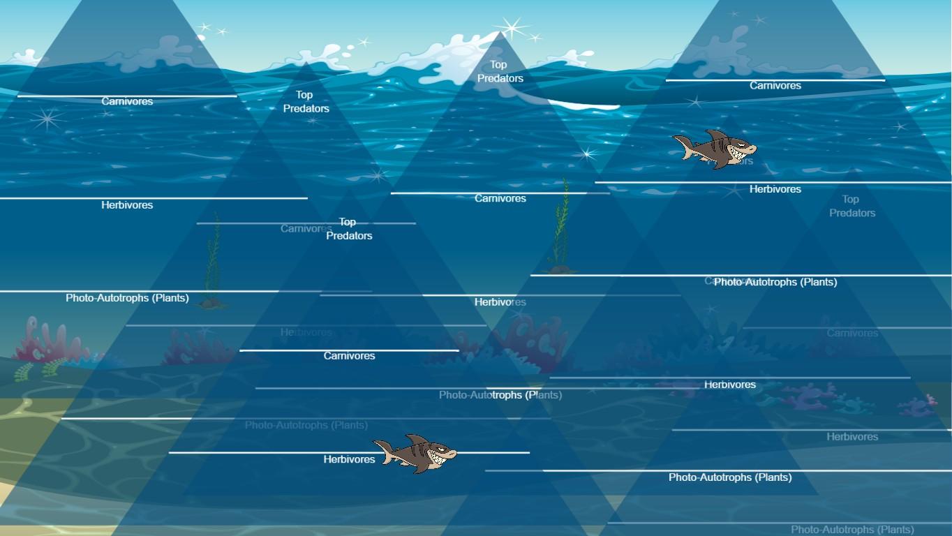 Ocean Ecological Pyramid