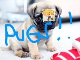 pug clicker bounce 1