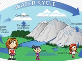 Robin S water cycle coding