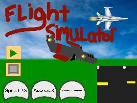 Flight Simulator 2