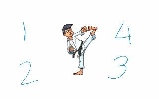 karate kid