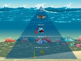 Ecological Pyramid 1