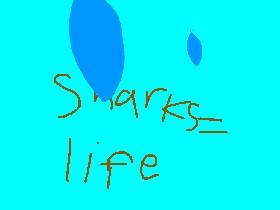 fish or shark