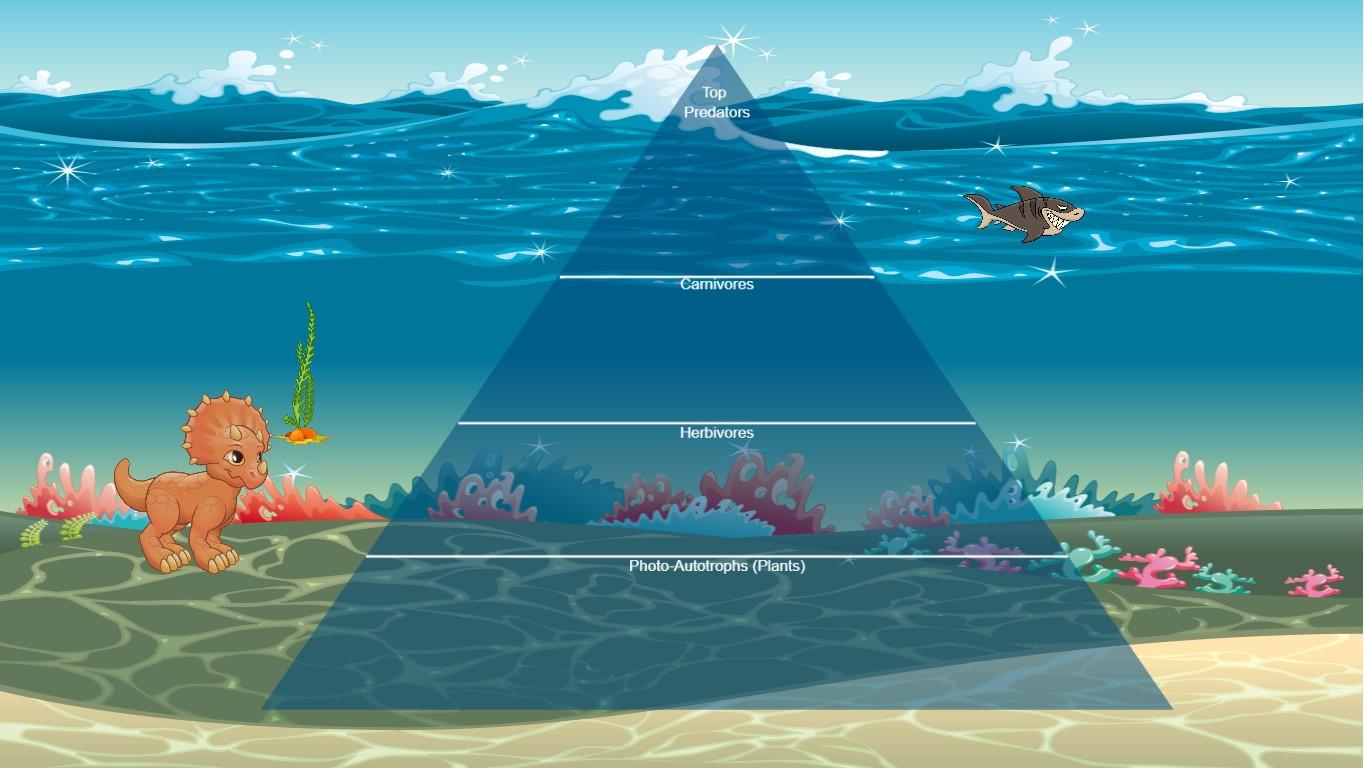 Ocean Ecological Pyramid