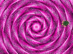 Spiral Triangles 9